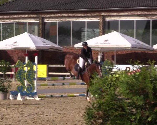 Reitturnier Nienberge 2022