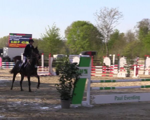 Reitturnier Nienberge 2022