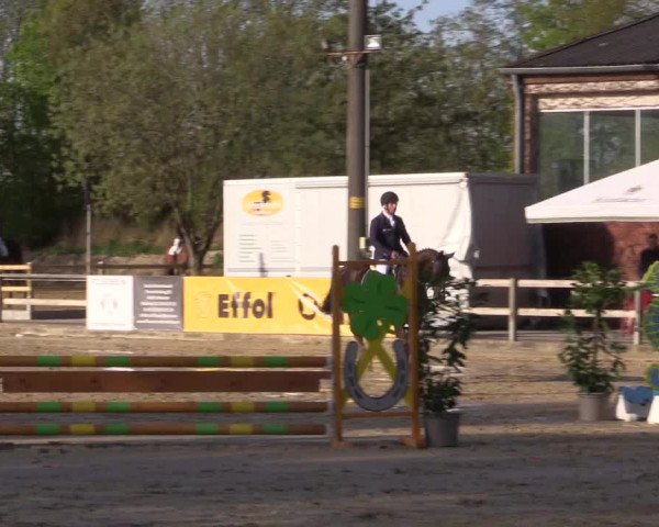 Reitturnier Nienberge 2022