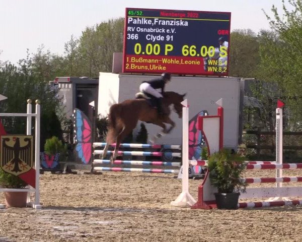 Reitturnier Nienberge 2022
