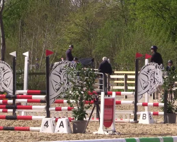 Reitturnier Nienberge 2022