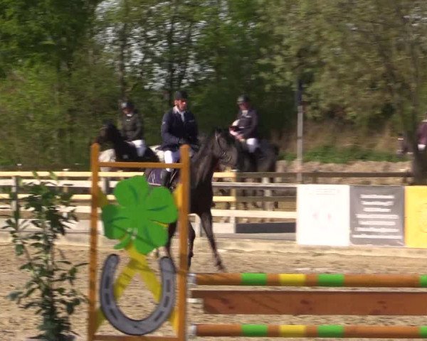 Reitturnier Nienberge 2022