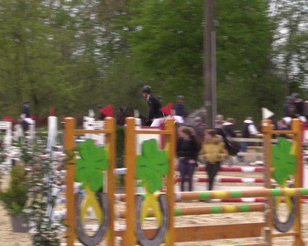 Reitturnier Nienberge 2022