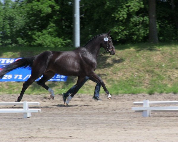 broodmare Dia Lordina (Rhinelander, 2010, from Diarado)