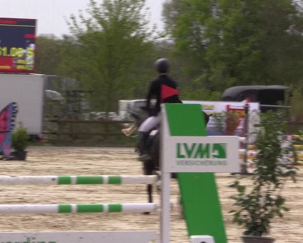 Reitturnier Nienberge 2022
