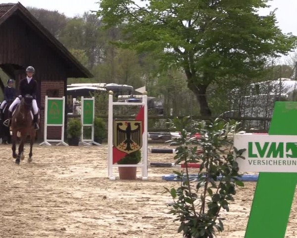 Reitturnier Nienberge 2022