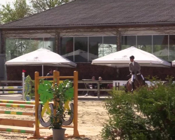Reitturnier Nienberge 2022