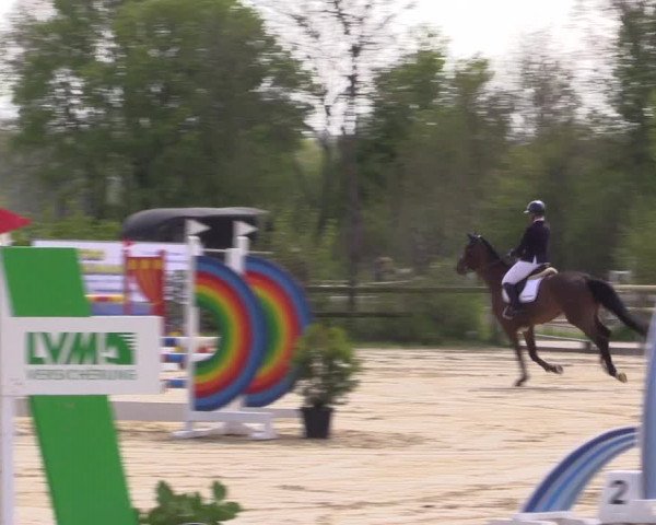 Reitturnier Nienberge 2022