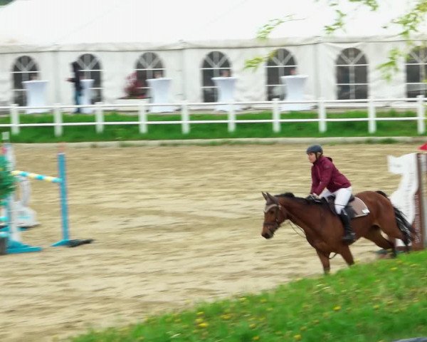 Reitturnier Ried am Riederberg 2022