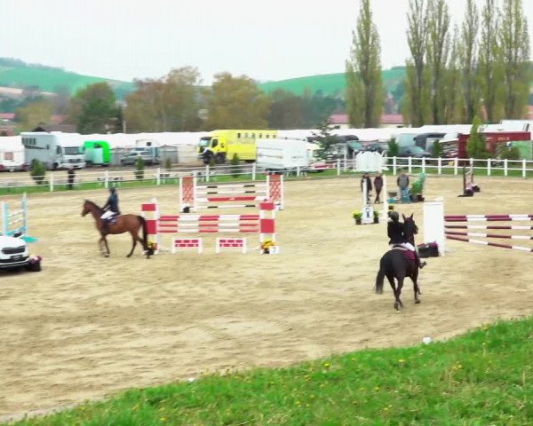 Reitturnier Ried am Riederberg 2022