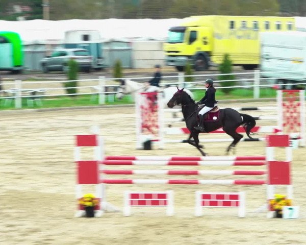 Reitturnier Ried am Riederberg 2022