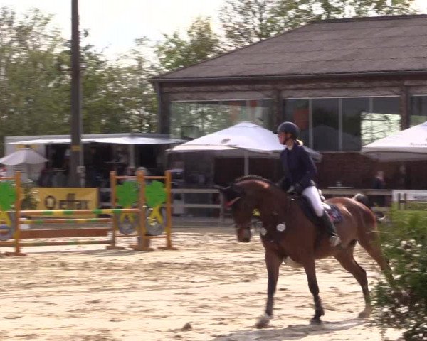 Reitturnier Nienberge 2022