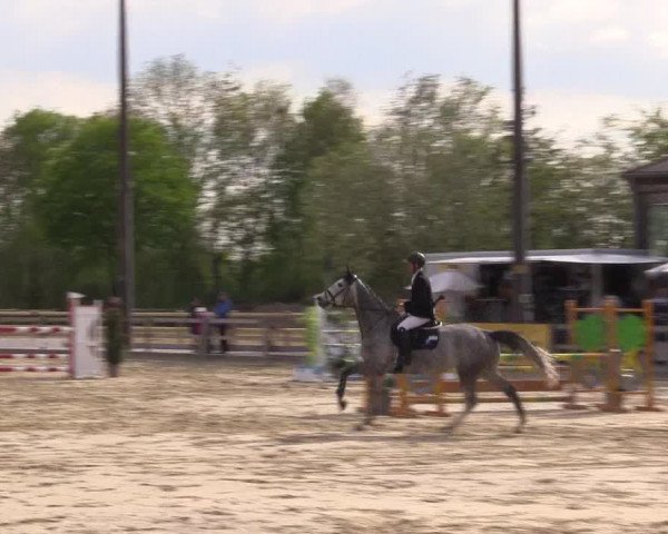 Reitturnier Nienberge 2022