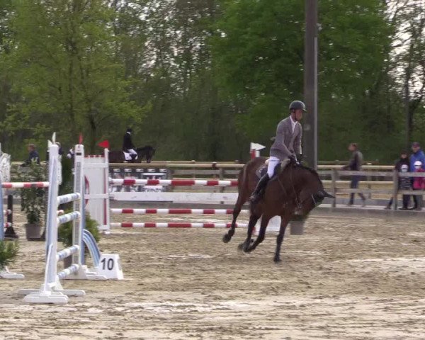 Reitturnier Nienberge 2022