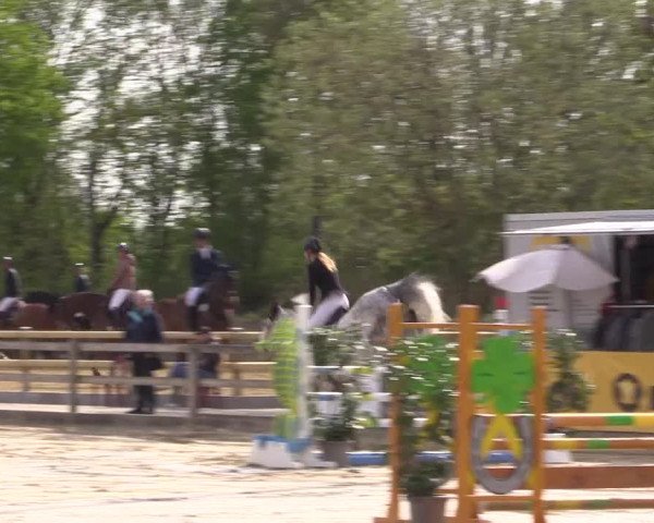 Reitturnier Nienberge 2022