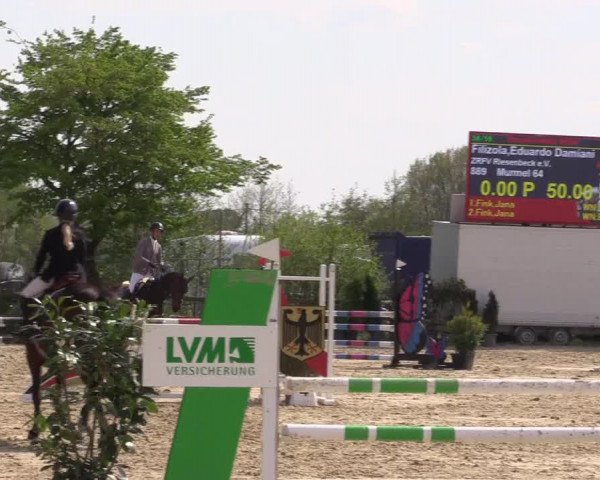 Reitturnier Nienberge 2022