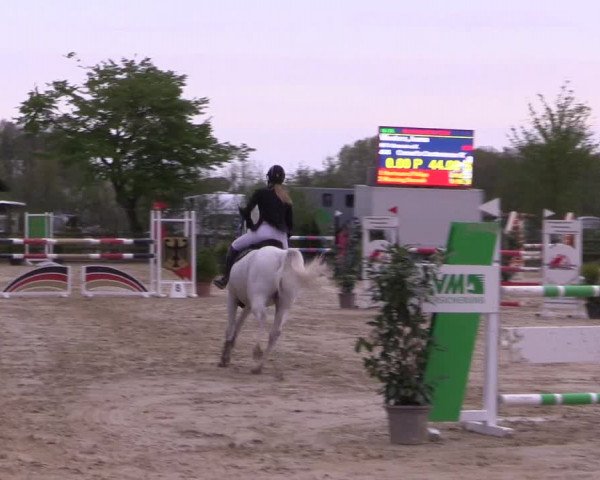 Reitturnier Nienberge 2022