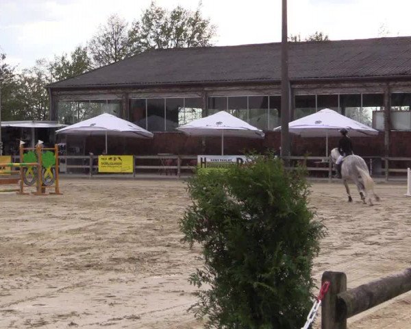 Reitturnier Nienberge 2022