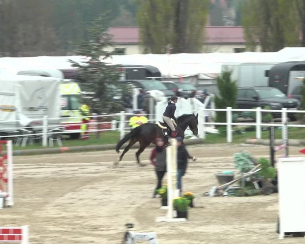 Reitturnier Ried am Riederberg 2022