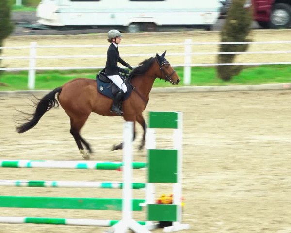 Reitturnier Ried am Riederberg 2022