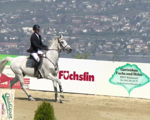 Reitturnier Wädenswil 2022
