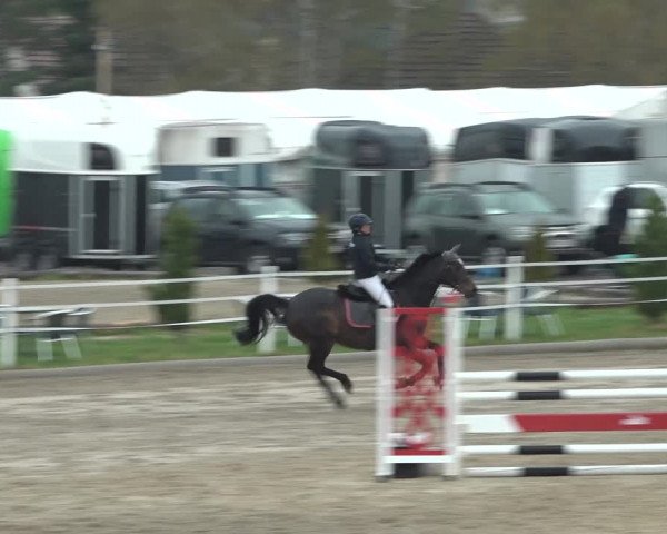 Reitturnier Ried am Riederberg 2022
