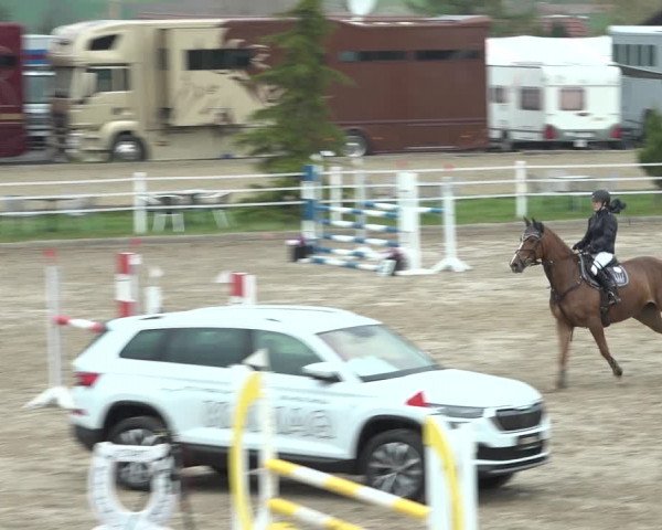 Reitturnier Ried am Riederberg 2022