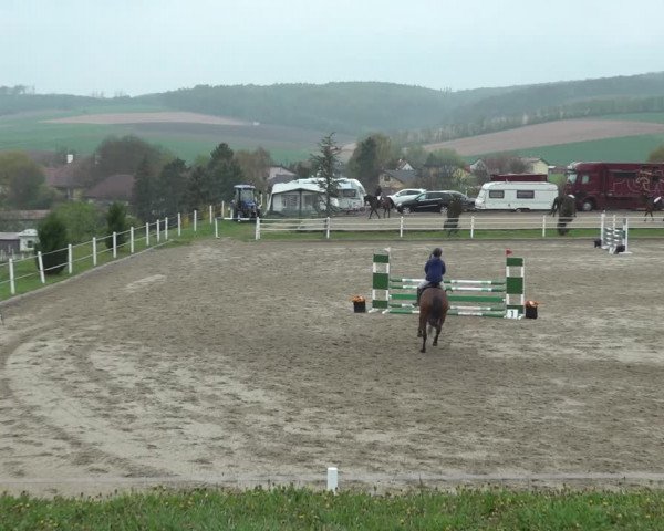 Reitturnier Ried am Riederberg 2022