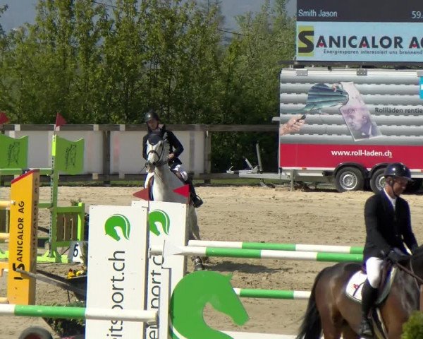 Reitturnier Wädenswil 2022