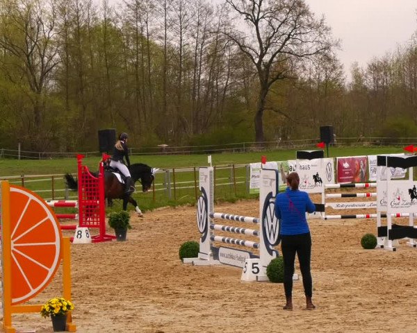 Reitturnier Wutzetz 2022