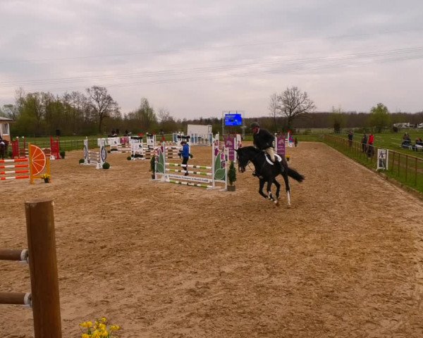 Reitturnier Wutzetz 2022