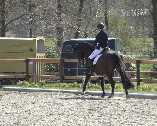 Reitturnier Schwanewede 2022