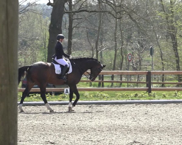 Reitturnier Schwanewede 2022