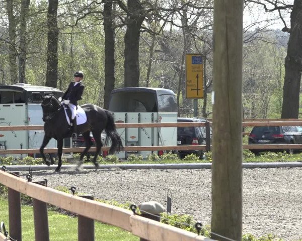 Reitturnier Schwanewede 2022