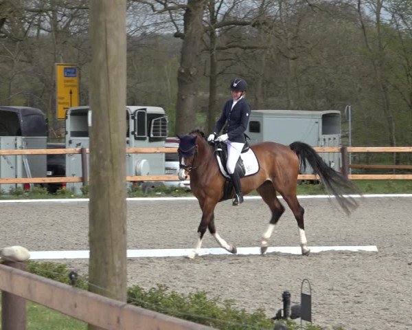 Reitturnier Schwanewede 2022