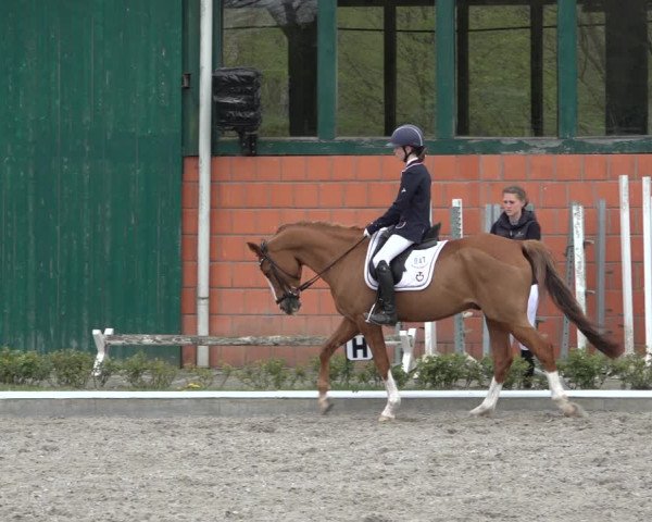 Reitturnier Schwanewede 2022