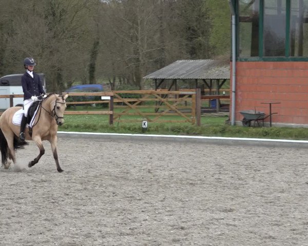 Reitturnier Schwanewede 2022