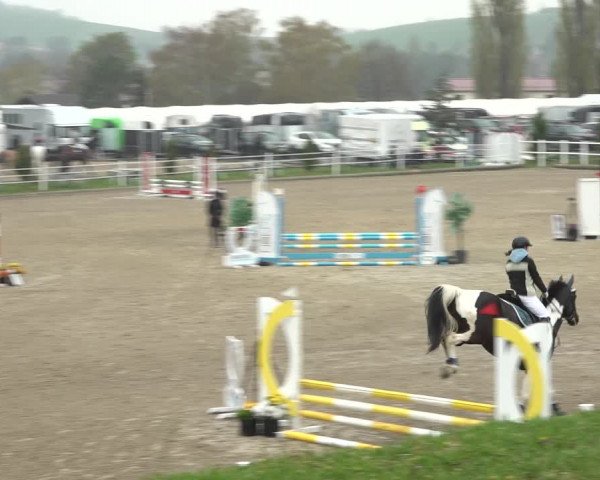 Reitturnier Ried am Riederberg 2022