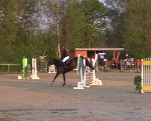Reitturnier Kamen 2022