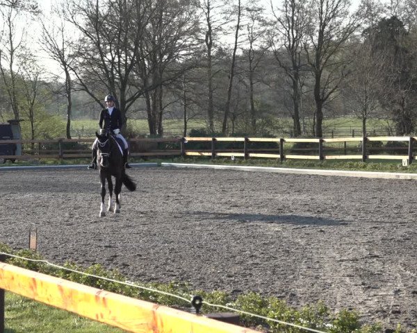 Reitturnier Schwanewede 2022