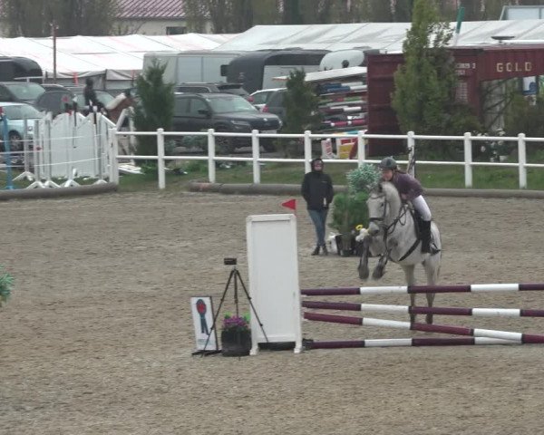 Reitturnier Ried am Riederberg 2022
