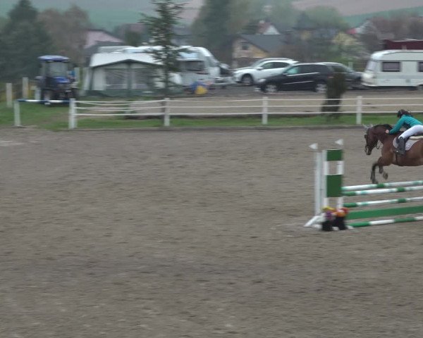 Reitturnier Ried am Riederberg 2022