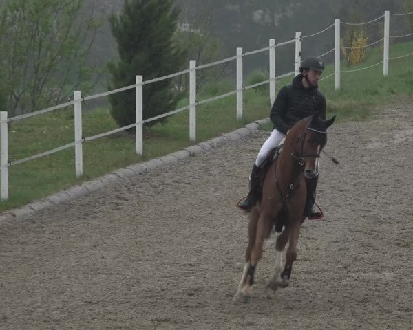 Reitturnier Ried am Riederberg 2022