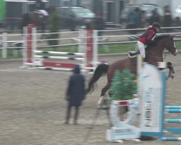 Reitturnier Ried am Riederberg 2022