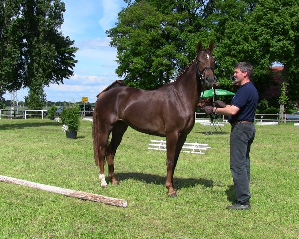 Zuchtstute Stute von Florestan I (Westfale, 2009, von Florestan I)