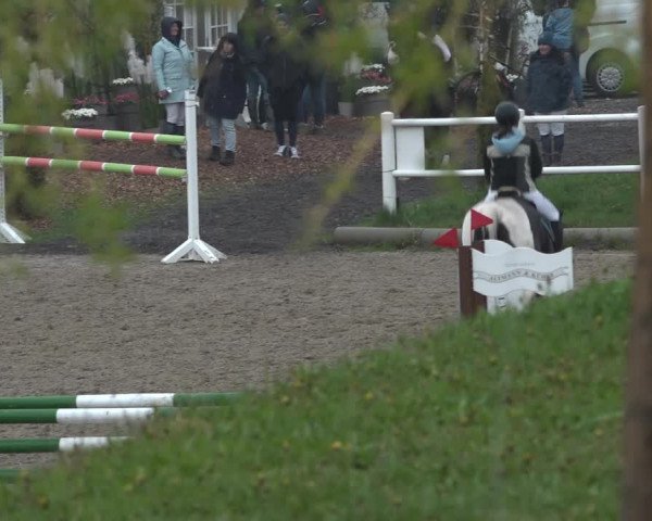 Reitturnier Ried am Riederberg 2022