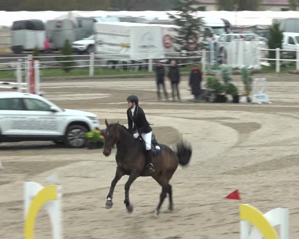 Reitturnier Ried am Riederberg 2022