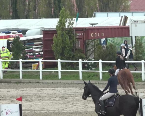 Reitturnier Ried am Riederberg 2022