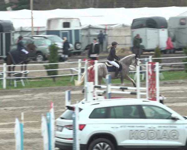 Reitturnier Ried am Riederberg 2022