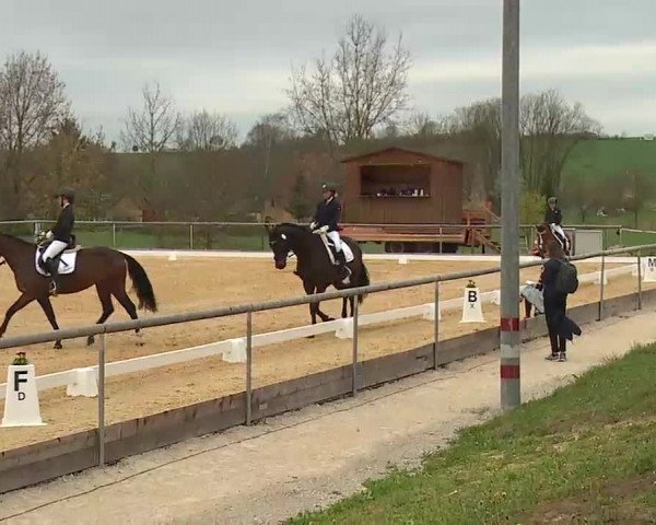 Reitturnier Altentrüdingen/Mfr. 2022